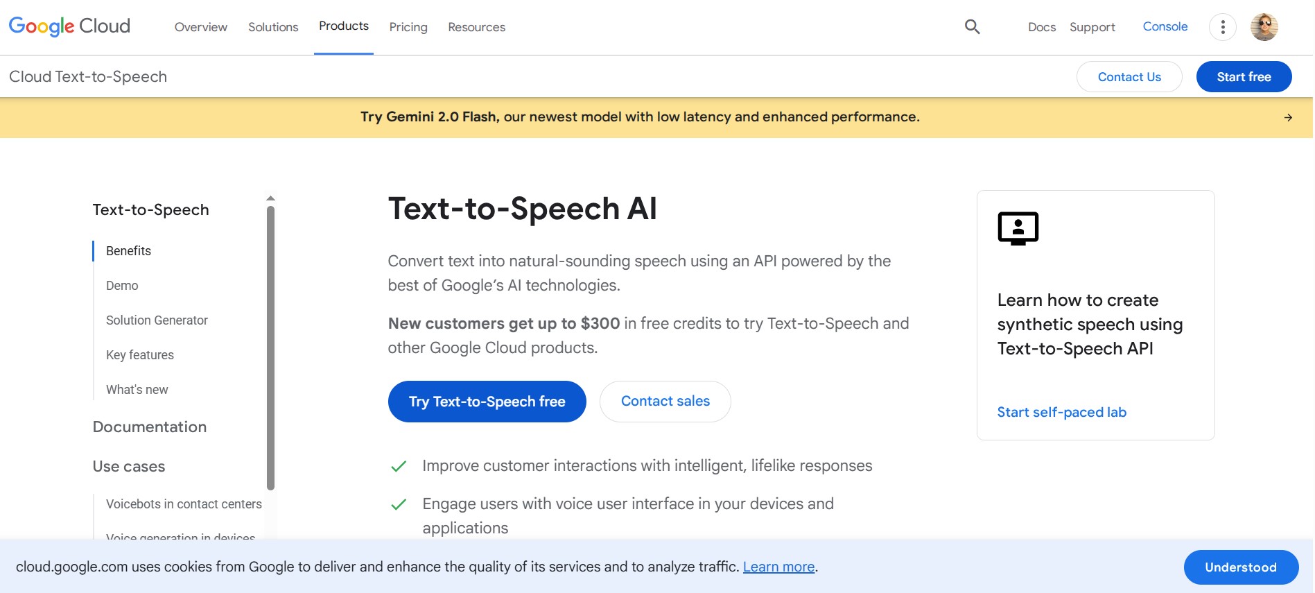 Google Cloud Text-to-Speech